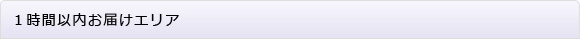 １時間以内お届けエリア